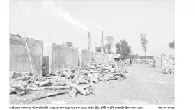 অবৈধ ভাটায় পুড়ছে কাঠ&nbsp;