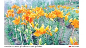 খাগড়াছড়িতে নেদারল্যান্ডসের লিলিয়াম