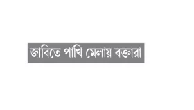 অবকাঠামোর জঞ্জালে বিমুখ পাখিরা