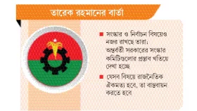 ঐক্য রেখে নির্বাচনে জোর বিএনপির
