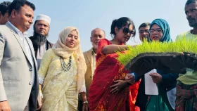 কালীগঞ্জে রাইস ট্রান্সপ্লান্টারে বোরো ধানের চারা রোপণ উদ্বোধন