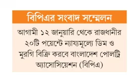 মুরগির ফিড-বাচ্চার উচ্চদামে উদ্বেগ