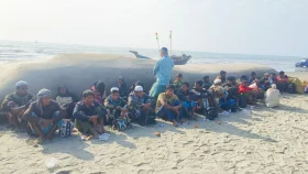 টেকনাফে অনুপ্রবেশকালে নারী শিশুসহ ৩৪ রোহিঙ্গা আটক