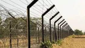 সীমান্ত দিয়ে ভারতে অনুপ্রবেশের চেষ্টা, ৮ বাংলাদেশি গ্রেপ্তার