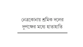 আড়াইহাজারে বিএনপির দুপক্ষের সংঘর্ষে আহত ১৫