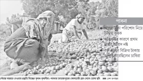 পেঁয়াজের দরপতনে সংকটে চাষিরা