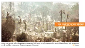 দাবানলে ঘি ঢালল কে...