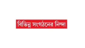 কালু শাহর মাজারে হামলার ঘটনায় মামলা