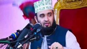 মাহফিলে বিএনপিকে উদ্দেশ্য করে যা বললেন আজহারী