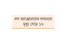 দিক বদলেছে হাওয়া আরও ক্ষতির শঙ্কা