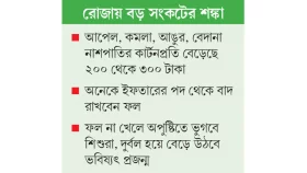 ভ্যাটের ধাক্কা ফলের দামে