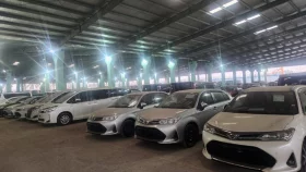 সাবেক ৩১ এমপির গাড়ি নিলামে
