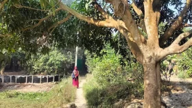 শ্বশুরবাড়ি থেকে বের করে দেওয়ার পর গাছের ডালে মিলল জামাইয়ের ঝুলন্ত লাশ