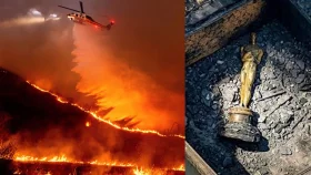 দাবানলে পুড়ে যাওয়া অস্কার নিয়ে জানা গেল আসল তথ্য