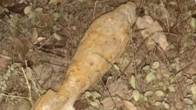 আখাউড়ায় মাটির নিচ থেকে মর্টারশেল উদ্ধার