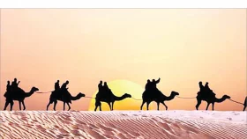 সাহাবায়ে কেরামের বিভিন্ন পেশা