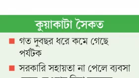 পর্যটক সংকট হতাশ উদ্যোক্তা