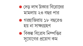 ছোট মামলার বড় ভোগান্তি