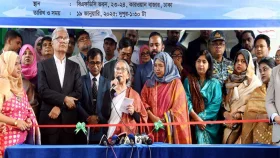 ইলিশ ক্রয়সীমার মধ্যে রাখতে সরকার চেষ্টা করছে: মৎস্য উপদেষ্টা