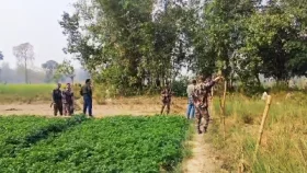 পাঁচবিবি সীমান্তে ফের কাঁটাতারের বেড়া দেওয়ার চেষ্টা বিএসএফের