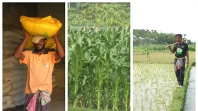 ডিলারের কাছে না মিললেও বেশি দামে খুচরা ব্যবসায়ীর কাছে মিলছে সার