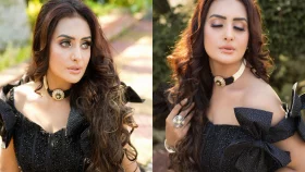 গাড়ির মালিকের সন্ধান পাওয়া গেছে: রুবিনা