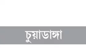 দাম বাড়াতে সারে কৃত্রিম সংকট, বিপাকে কৃষক