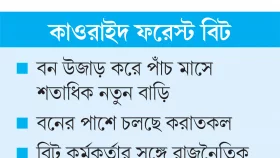 বন কেটে বাড়ি বানানোর মচ্ছব