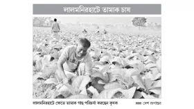মুনাফার ফাঁদে জমি-স্বাস্থ্যের ক্ষতি