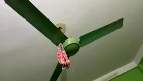 মেসের রুমে ঝুলছিল জবি ছাত্রীর ঝুলন্ত লাশ