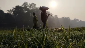 তাপমাত্রা বাড়ার আভাস দিল আবহাওয়া অফিস