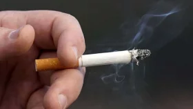 দেশে ৩৫ শতাংশ মানুষ তামাক সেবন করে