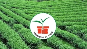 &lsquo;অবৈধভাবে চা কেনা বেচা করলে কারখানা বন্ধ করে দেয়া হবে&rsquo;