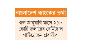 ৭ মাসে রেমিট্যান্স এসেছে ১৫ বিলিয়ন ডলার