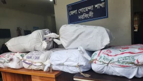 লটকন বাগানে মিলল আড়াই মণ গাঁজা