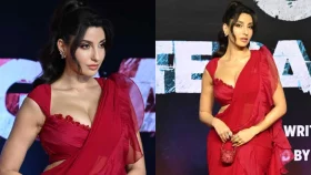খাদে পড়ে মারা গেছেন নোরা ফাতেহি! যা জানা গেল