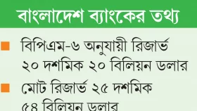 রিজার্ভ বেড়ে আবারও ২০ বিলিয়নে