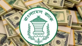 রিজার্ভ বেড়ে ২০.২০ বিলিয়ন ডলার
