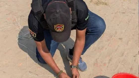 ফার্মগেটে উদ্ধার ৩ ককটেল নিষ্ক্রিয় করল সিটিটিসি