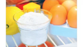 ফ্রিজ থেকে বাজে গন্ধ দূর করবেন