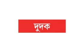 পৃথক আদালত স্থাপনের সুপারিশ দরকার