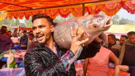 যে মেলায় মাছ কিনতে প্রতিযোগিতায় নামেন জামাইরা