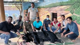সাবেক এমপির স্বপ্নপুরীতে অভিযান, ৪৮ বন্যপ্রাণী উদ্ধার