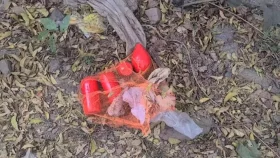 কেরু চিনিকলে বোমাসদৃশ বস্তু উদ্ধার