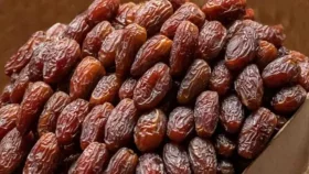 বিএনপি নেতাদের খেজুর উপহার পাঠালেন সৌদি বাদশাহ