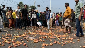 রাজশাহীতে রাস্তায় আলু ফেলে কৃষকের প্রতিবাদ