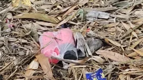 চুয়াডাঙ্গায় ফের ৭টি বোমার সন্ধান, উদ্ধারে আইনশৃঙ্খলা বাহিনী