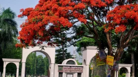 রাস্তা পারাপারের সময় প্রাণ গেল ইবি কর্মকর্তার