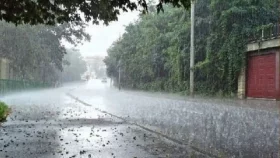 যে দুই বিভাগে বজ্রসহ বৃষ্টির আভাস দিল আবহাওয়া অফিস