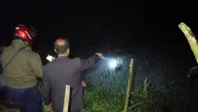 শৈলকূপায় ৩ চরমপন্থীকে গুলি করে হত্যা, দায় স্বীকার করে হোয়াটসঅ্যাপে বার্তা